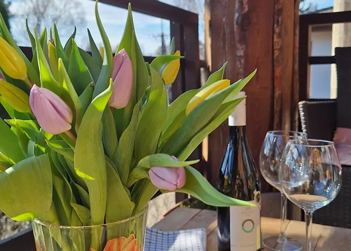 Mediterran Rezidencia Jobb Felso Apartment Zamárdi